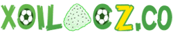 tiktoker